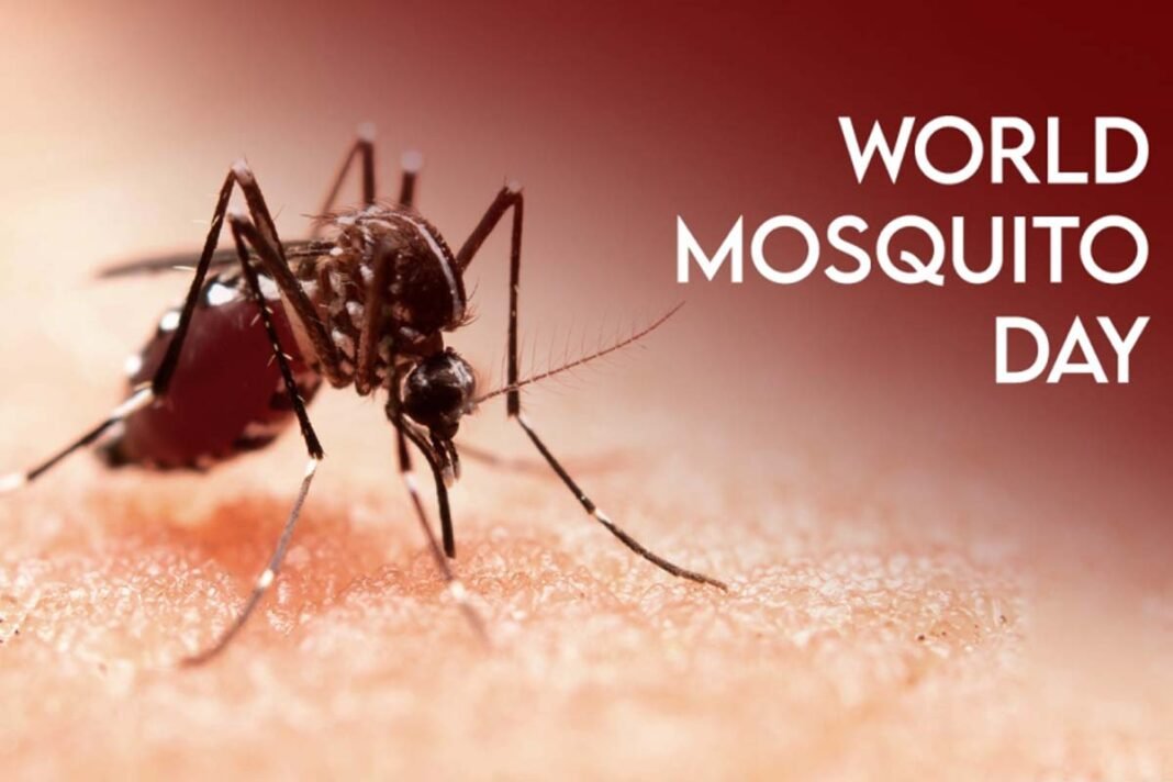 World Mosquito Day