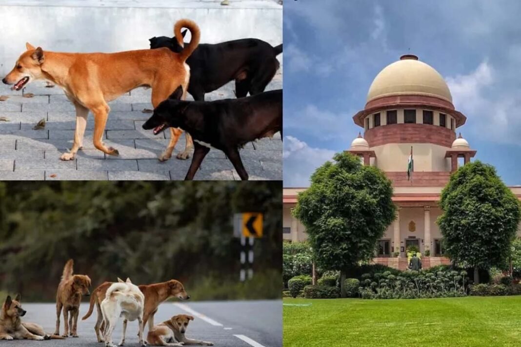 Supreme Court order on stray dogs