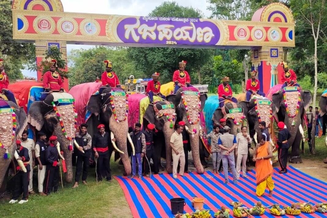 Mysore Dasara: Gajapayana begins today at Veeranahosalli