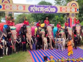 Mysore Dasara: Gajapayana begins today at Veeranahosalli