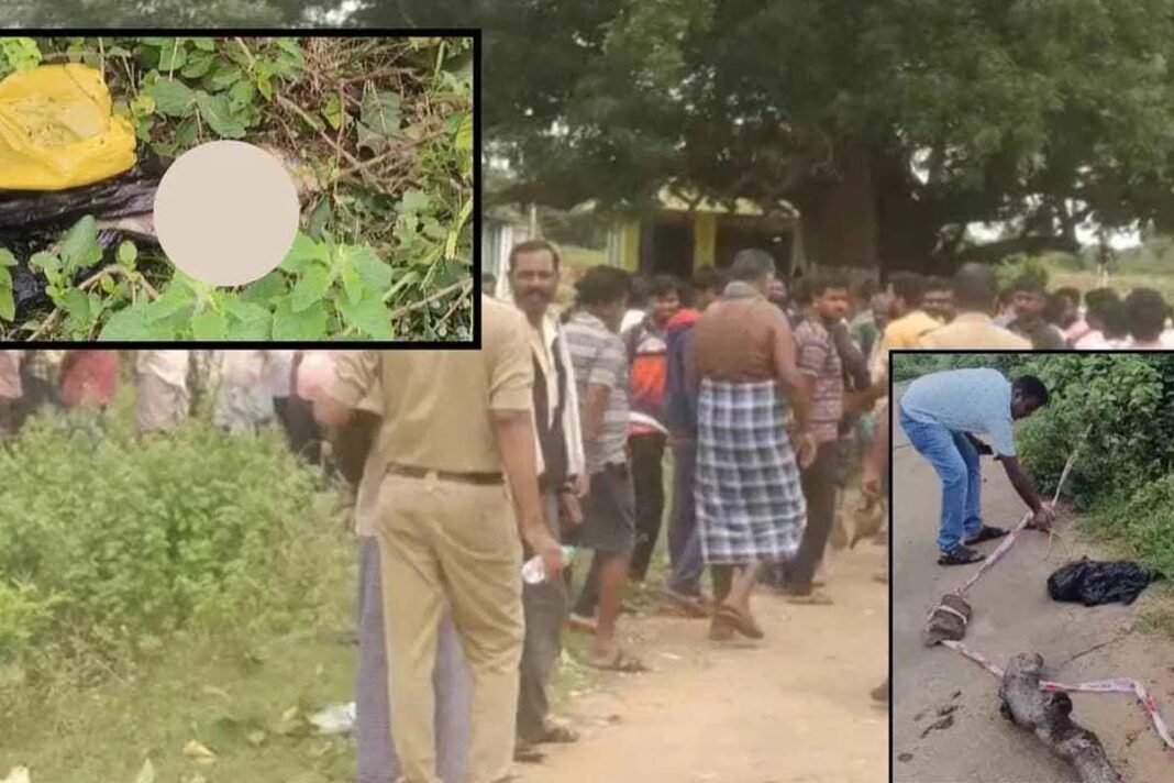 Body parts found in Home Minister's village