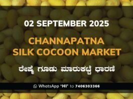 Channapatna Silk Cocoon Market Price Rate ಚನ್ನಪಟ್ಟಣ ರೇಷ್ಮೆ ಗೂಡು ಮಾರುಕಟ್ಟೆ ಧಾರಣೆ