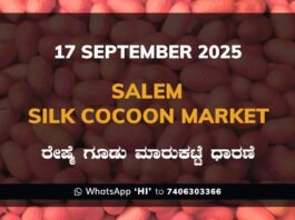Salem Government Silk Cocoon Market Daily Rate Report