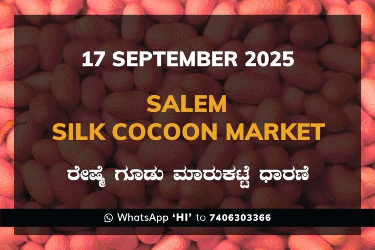 Salem Government Silk Cocoon Market Daily Rate Report