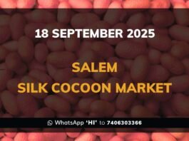 Salem Government Silk Cocoon Market Daily Rate Report