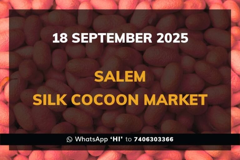 Salem Government Silk Cocoon Market Daily Rate Report