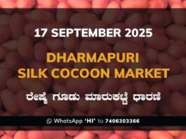 Dharmapuri Government Silk Cocoon Market Daily Rate Report ಧರ್ಮಪುರಿ ರೇಷ್ಮೆ ಗೂಡು ಮಾರುಕಟ್ಟೆ ಧಾರಣೆ
