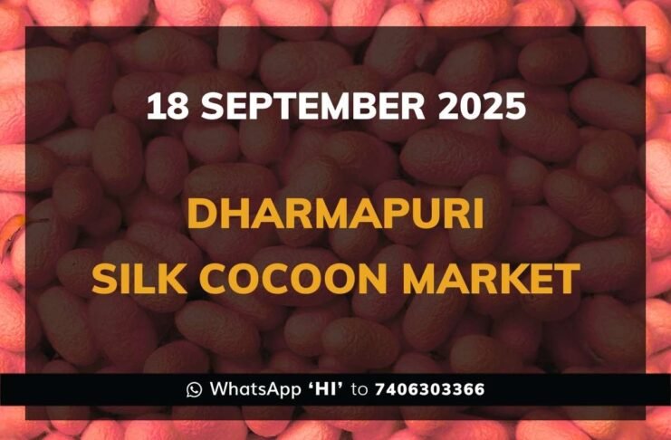 Dharmapuri Government Silk Cocoon Market Daily Rate Report ಧರ್ಮಪುರಿ ರೇಷ್ಮೆ ಗೂಡು ಮಾರುಕಟ್ಟೆ ಧಾರಣೆ
