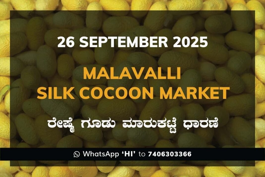 Malavalli Silk Cocoon Market Price Rate ಮಳವಳ್ಳಿ ರೇಷ್ಮೆ ಗೂಡು ಮಾರುಕಟ್ಟೆ ಧಾರಣೆ