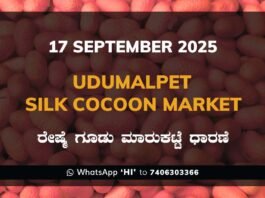 Udumalpet Government Silk Cocoon Market Daily Rate Report