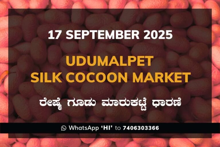Udumalpet Government Silk Cocoon Market Daily Rate Report