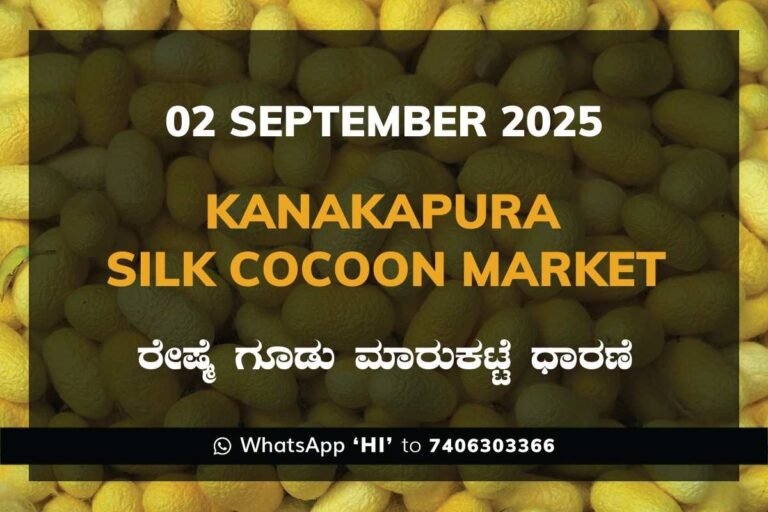 Kanakapura Silk Cocoon Market ಕನಕಪುರ ರೇಷ್ಮೆ ಗೂಡು ಮಾರುಕಟ್ಟೆ ಧಾರಣೆ