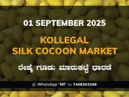 Kollegal Silk Cocoon Market Price Rate ಕೊಳ್ಳೇಗಾಲ ರೇಷ್ಮೆ ಗೂಡು ಮಾರುಕಟ್ಟೆ ಧಾರಣೆ