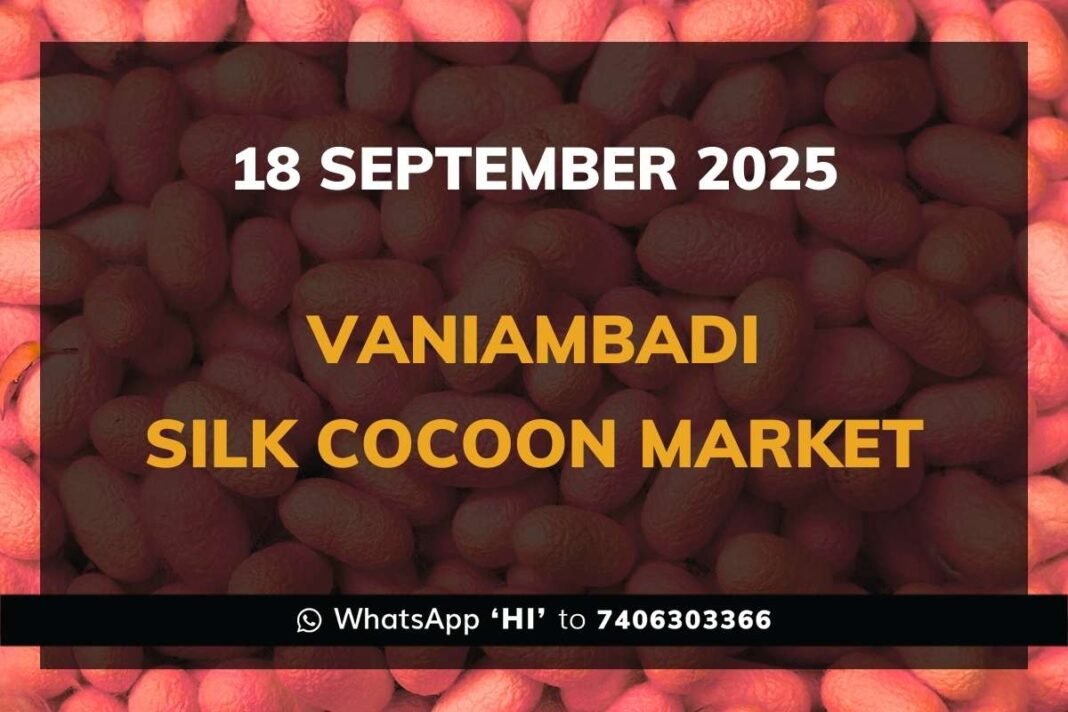 Vaniambadi Government Silk Cocoon Market Daily Rate Report
