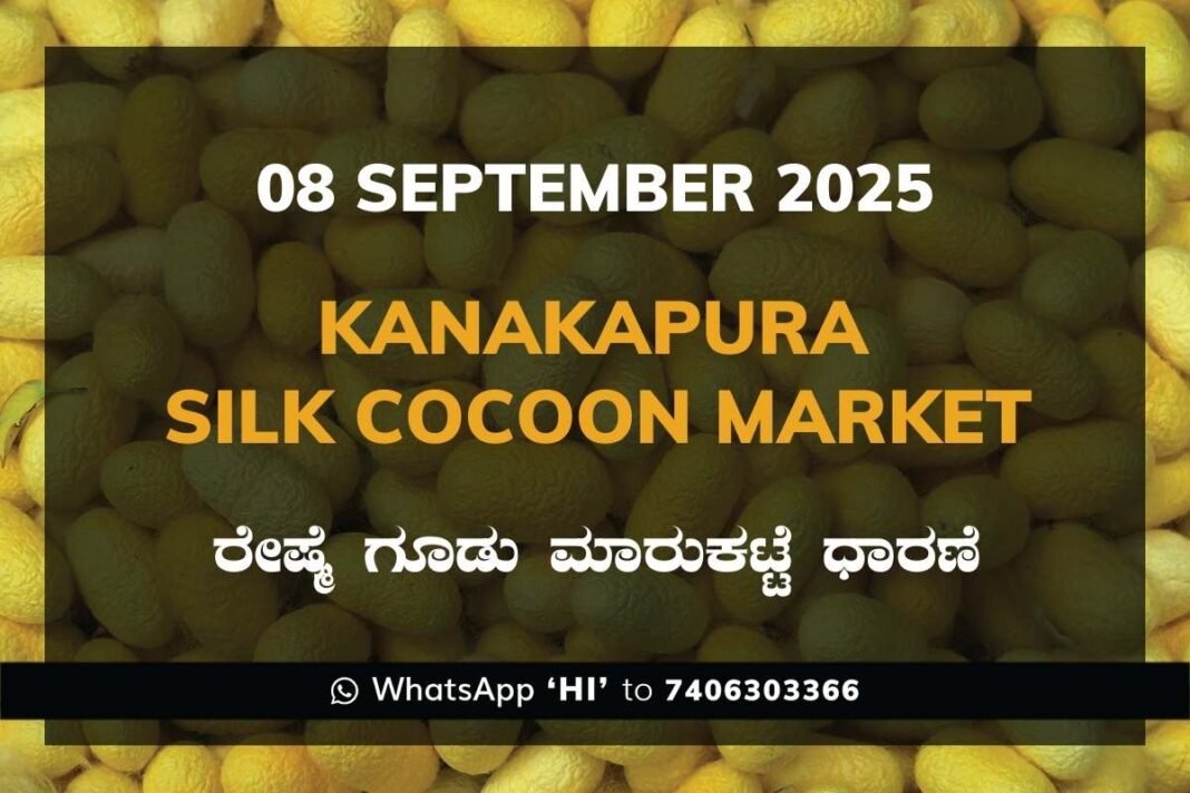 Kanakapura Silk Cocoon Market ಕನಕಪುರ ರೇಷ್ಮೆ ಗೂಡು ಮಾರುಕಟ್ಟೆ ಧಾರಣೆ