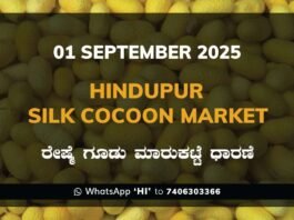 Hindupur Government Silk Cocoon Market Daily Rate Report ಹಿಂದೂಪುರ ರೇಷ್ಮೆ ಗೂಡು ಮಾರುಕಟ್ಟೆ ಧಾರಣೆ