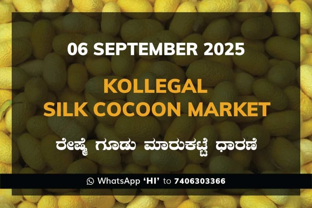 Kollegal Silk Cocoon Market Price Rate ಕೊಳ್ಳೇಗಾಲ ರೇಷ್ಮೆ ಗೂಡು ಮಾರುಕಟ್ಟೆ ಧಾರಣೆ