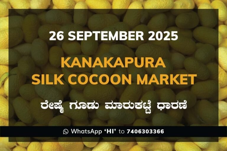 Kanakapura Silk Cocoon Market ಕನಕಪುರ ರೇಷ್ಮೆ ಗೂಡು ಮಾರುಕಟ್ಟೆ ಧಾರಣೆ