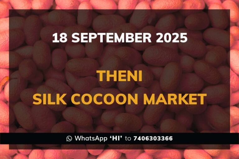 Theni Government Silk Cocoon Market Daily Rate Report