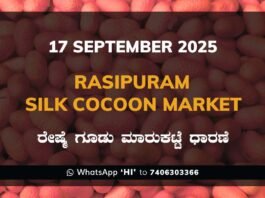 Rasipuram Government Silk Cocoon Market Daily Rate Report