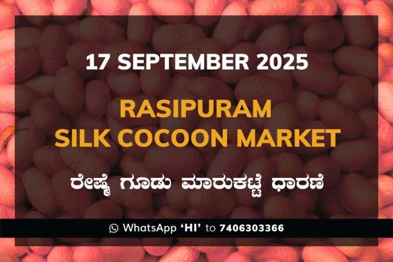 Rasipuram Government Silk Cocoon Market Daily Rate Report