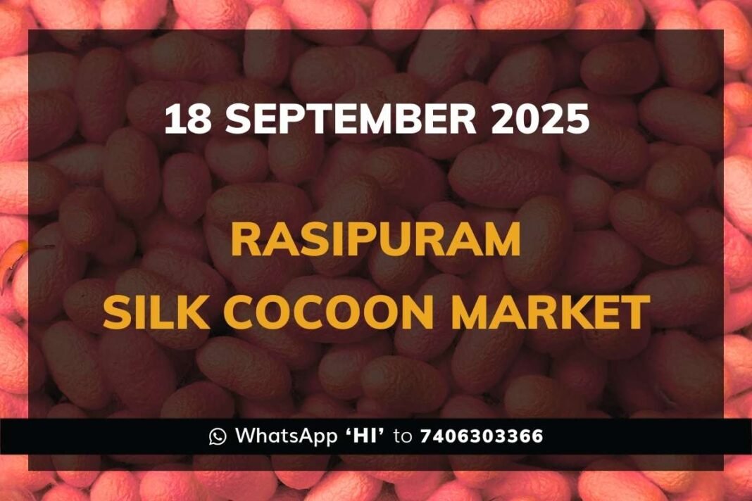 Rasipuram Government Silk Cocoon Market Daily Rate Report