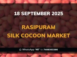 Rasipuram Silk Cocoon Market: 18 September 2025 Rasipuram Government Silk Cocoon Market Daily Rate Report