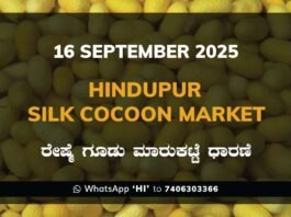 Hindupur Government Silk Cocoon Market Daily Rate Report ಹಿಂದೂಪುರ ರೇಷ್ಮೆ ಗೂಡು ಮಾರುಕಟ್ಟೆ ಧಾರಣೆ
