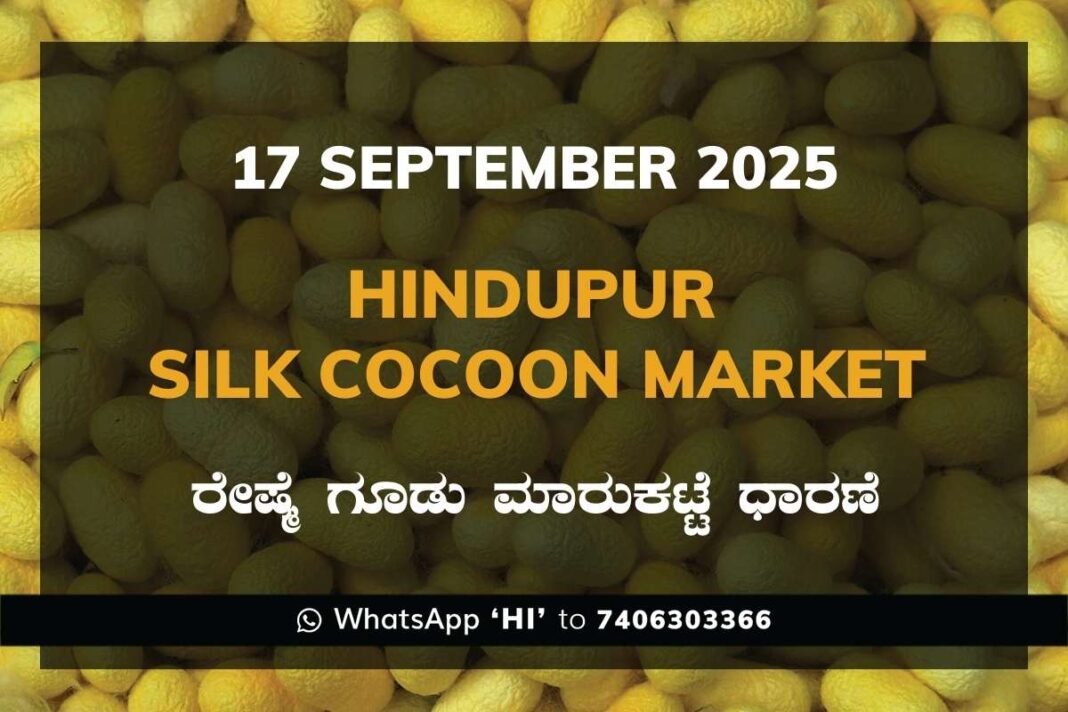 Hindupur Government Silk Cocoon Market Daily Rate Report ಹಿಂದೂಪುರ ರೇಷ್ಮೆ ಗೂಡು ಮಾರುಕಟ್ಟೆ ಧಾರಣೆ