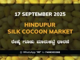 Hindupur Government Silk Cocoon Market Daily Rate Report ಹಿಂದೂಪುರ ರೇಷ್ಮೆ ಗೂಡು ಮಾರುಕಟ್ಟೆ ಧಾರಣೆ