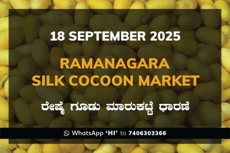 Ramanagara Silk Cocoon Market ರಾಮನಗರ ರೇಷ್ಮೆ ಗೂಡು ಮಾರುಕಟ್ಟೆ ಧಾರಣೆ