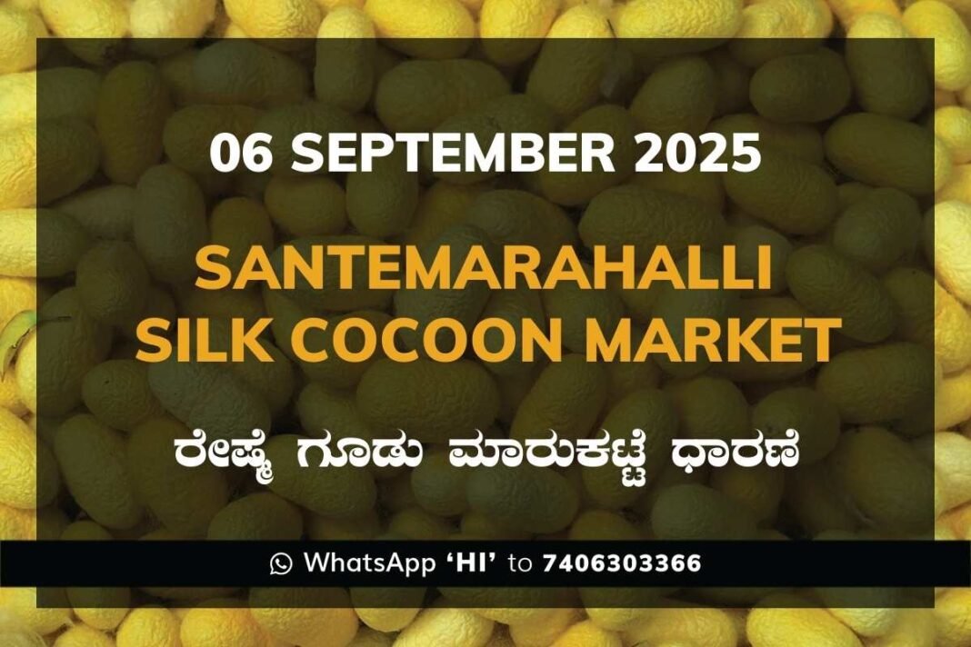 Santemarahalli (SM Halli) Government Silk Cocoon Market Daily Rate Report ಸಂತೇಮರಹಳ್ಳಿ ರೇಷ್ಮೆ ಗೂಡು ಮಾರುಕಟ್ಟೆ ಧಾರಣೆ