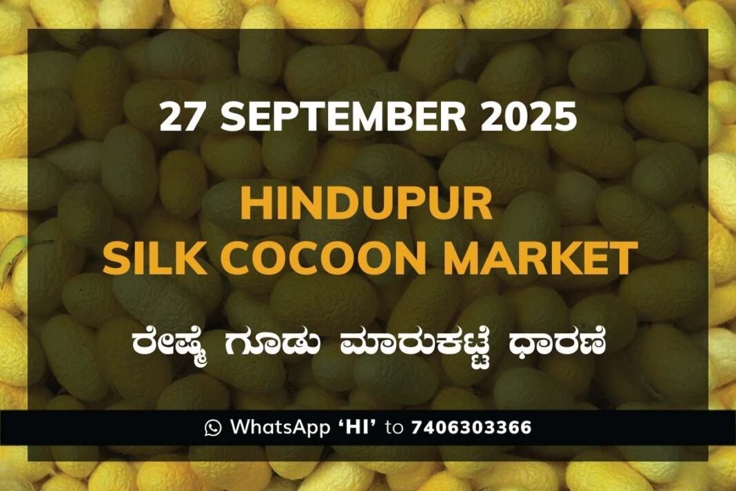 Hindupur Government Silk Cocoon Market Daily Rate Report ಹಿಂದೂಪುರ ರೇಷ್ಮೆ ಗೂಡು ಮಾರುಕಟ್ಟೆ ಧಾರಣೆ