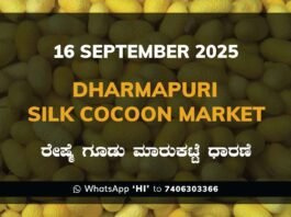 Dharmapuri Government Silk Cocoon Market Daily Rate Report ಧರ್ಮಪುರಿ ರೇಷ್ಮೆ ಗೂಡು ಮಾರುಕಟ್ಟೆ ಧಾರಣೆ
