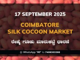 Coimbatore Government Silk Cocoon Market Daily Rate Report