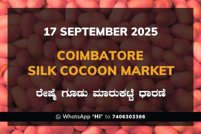 Coimbatore Government Silk Cocoon Market Daily Rate Report