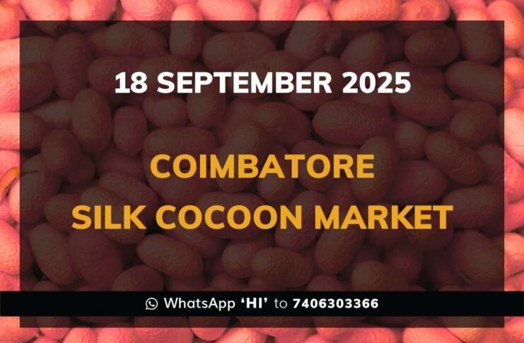 Coimbatore Government Silk Cocoon Market Daily Rate Report