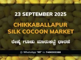 Chikkaballapur Government Silk Cocoon Market Daily Rate Report ಚಿಕ್ಕಬಳ್ಳಾಪುರ ರೇಷ್ಮೆ ಗೂಡು ಮಾರುಕಟ್ಟೆ ಧಾರಣೆ