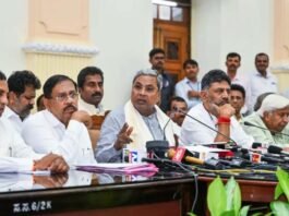 Important decisions of the cabinet meeting