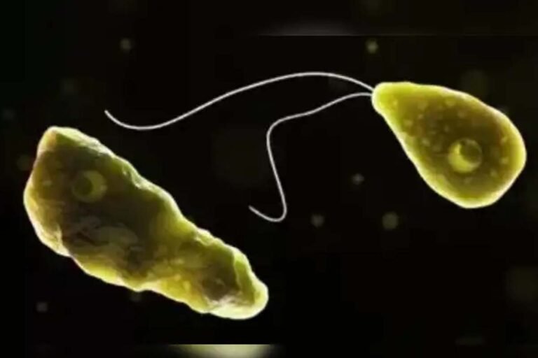 Brain-eating amoeba outbreak in Kerala: 67 infected, 17 dead