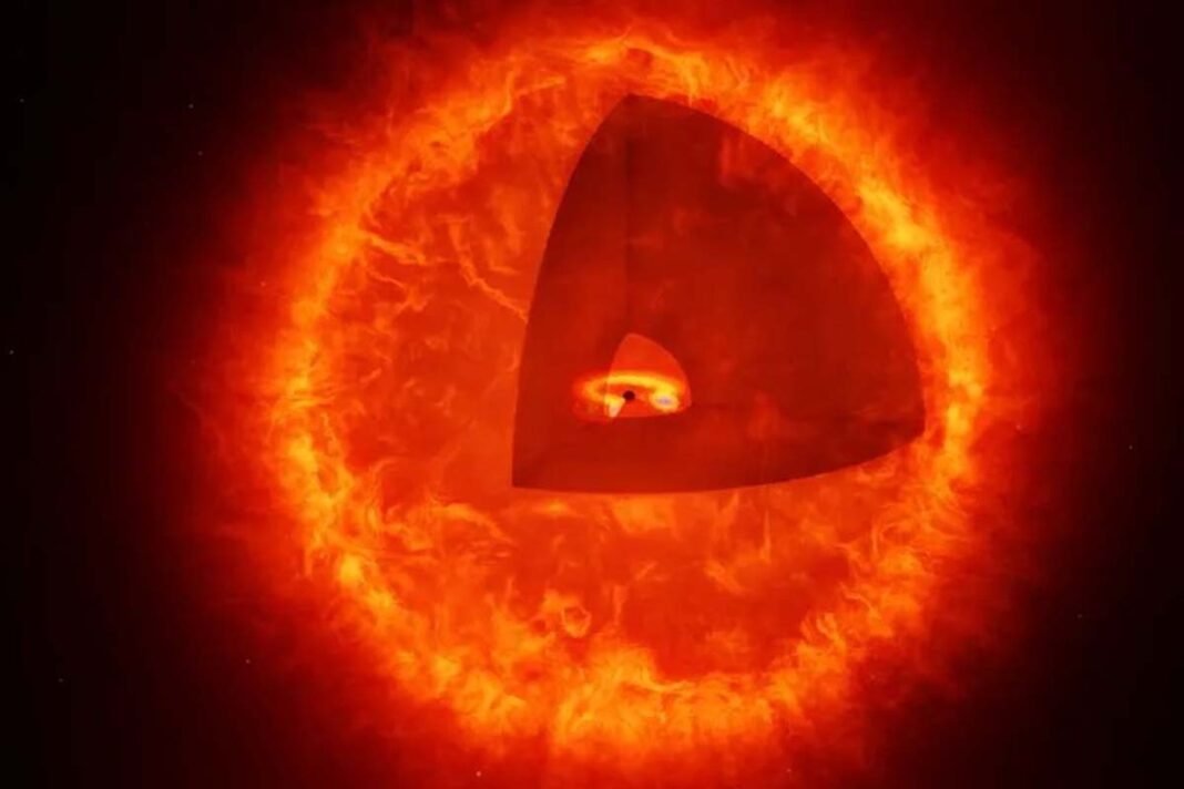 The first black hole star was discovered by the James Webb Telescope!