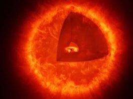 The first black hole star was discovered by the James Webb Telescope!