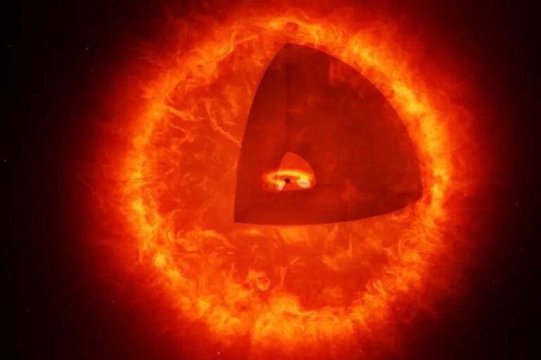The first black hole star was discovered by the James Webb Telescope!