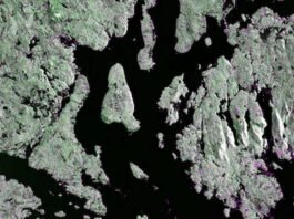 New images of Earth from India-US NISAR satellite