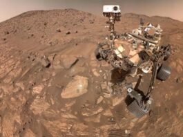 Signs of ancient microbes on Mars