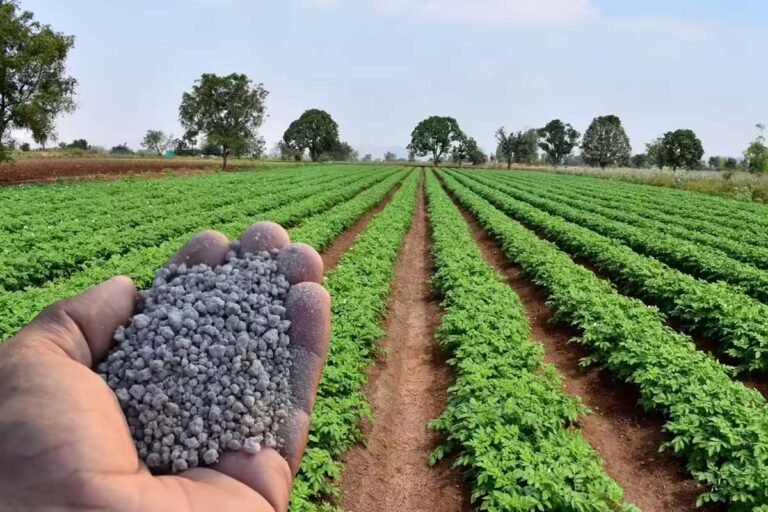 Agriculture Department shops cheating farmers