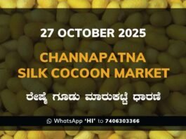 Channapatna Silk Cocoon Market: 27 October 2025 Channapatna Silk Cocoon Market Price Rate ಚನ್ನಪಟ್ಟಣ ರೇಷ್ಮೆ ಗೂಡು ಮಾರುಕಟ್ಟೆ ಧಾರಣೆ