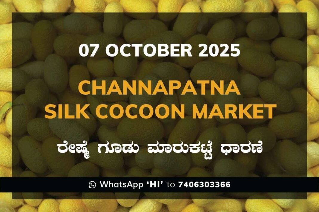 Channapatna Silk Cocoon Market Price Rate ಚನ್ನಪಟ್ಟಣ ರೇಷ್ಮೆ ಗೂಡು ಮಾರುಕಟ್ಟೆ ಧಾರಣೆ