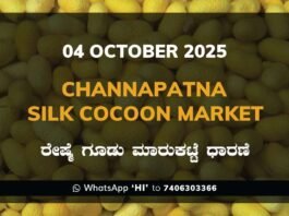 Channapatna Silk Cocoon Market Price Rate ಚನ್ನಪಟ್ಟಣ ರೇಷ್ಮೆ ಗೂಡು ಮಾರುಕಟ್ಟೆ ಧಾರಣೆ