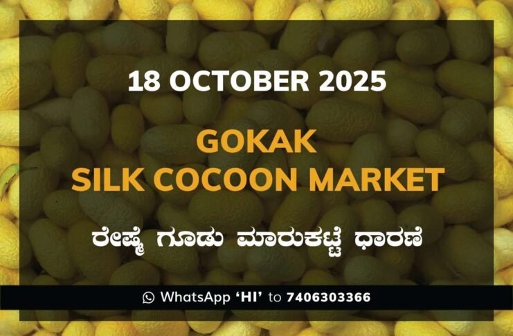 Gokak Government Silk Cocoon Market Daily Rate Report ಗೋಕಾಕ್ ರೇಷ್ಮೆ ಗೂಡು ಮಾರುಕಟ್ಟೆ ಧಾರಣೆ